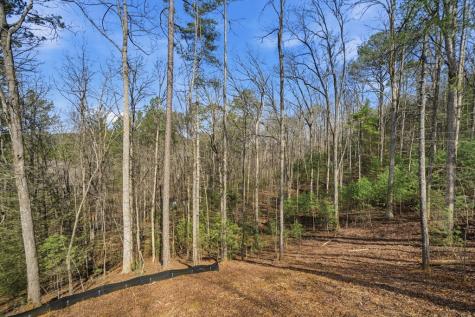 890 Joliet Drive Ellijay GA 30540