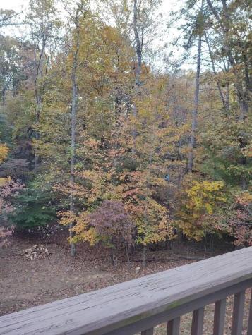 123 Rockingham Way Ellijay GA 30540