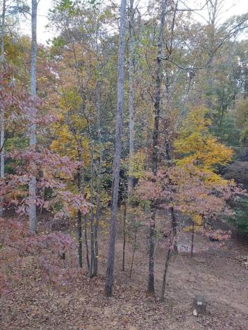 123 Rockingham Way Ellijay GA 30540
