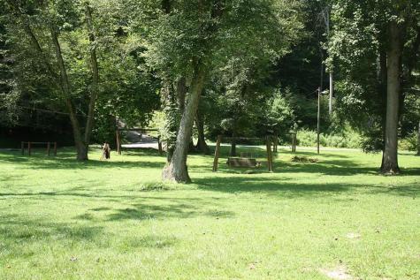 123 Rockingham Way Ellijay GA 30540