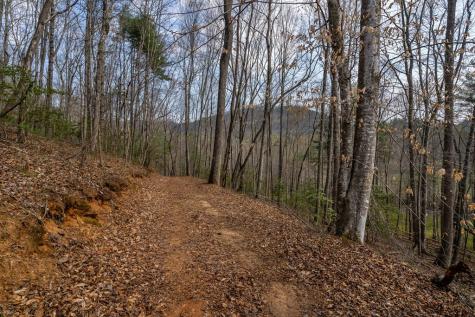 1132 Hells Hollow Road Blue Ridge GA 30513