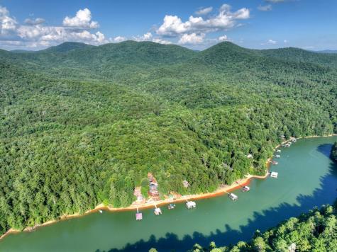 118 Tilley Bend Trail Blue Ridge GA 30513