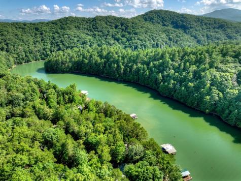 118 Tilley Bend Trail Blue Ridge GA 30513