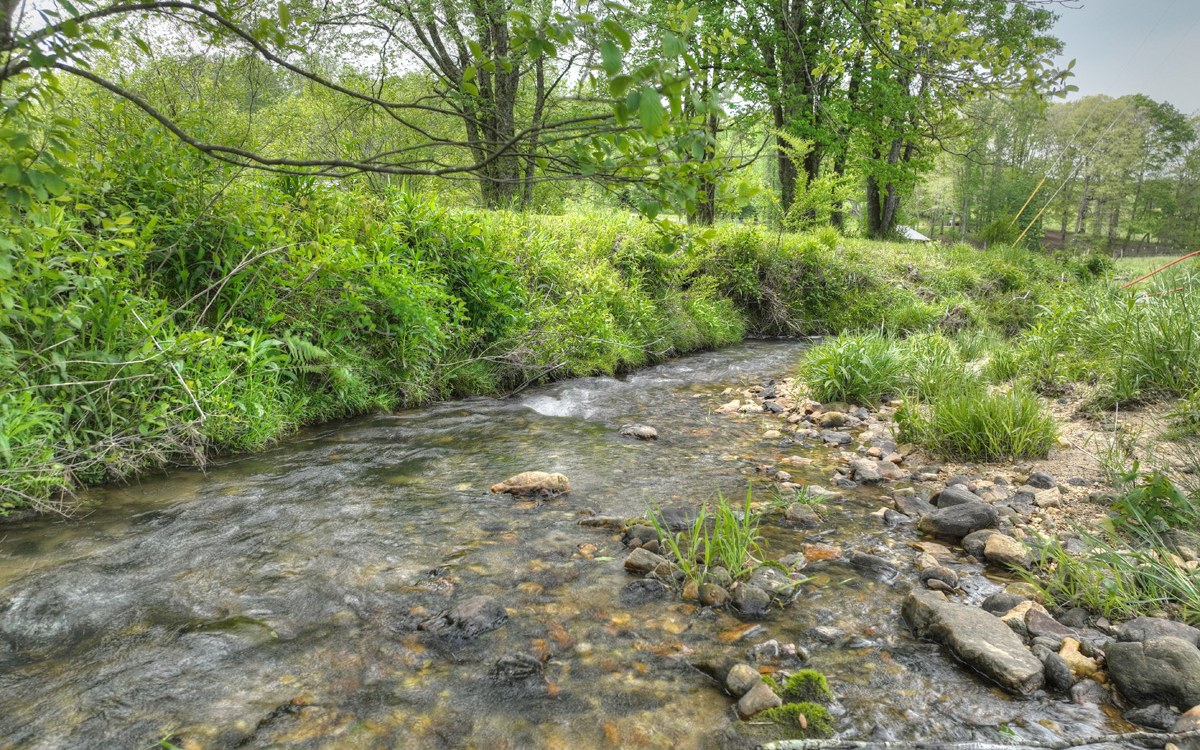 134 Sunlight Trail Ellijay GA 30540