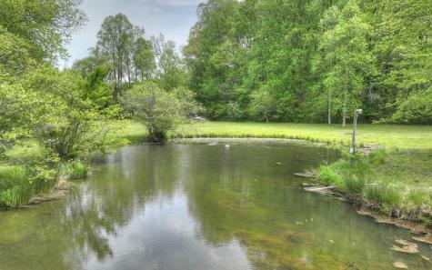 134 Sunlight Trail Ellijay GA 30540