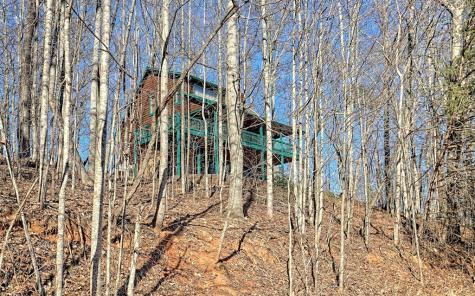 256 Woodland Ridge Drive Morganton GA 30560