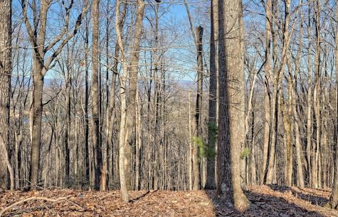 256 Woodland Ridge Drive Morganton GA 30560