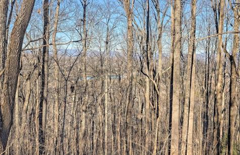 256 Woodland Ridge Drive Morganton GA 30560