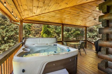 229 Old Mill Pond Road Mineral Bluff GA 30559