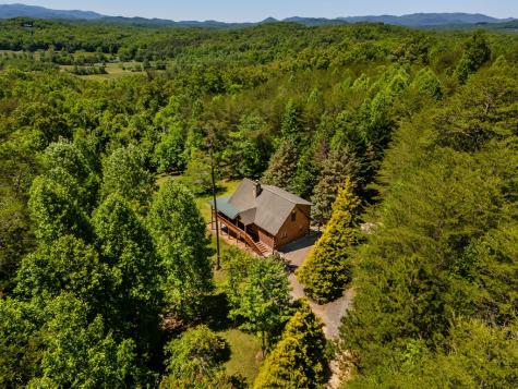 229 Old Mill Pond Road Mineral Bluff GA 30559