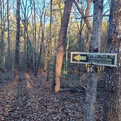38 Sweetwater Trail Epworth GA 30541