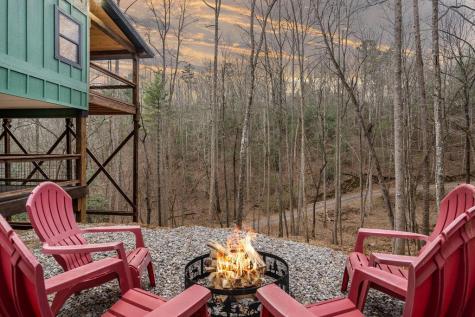 307 Ross Road Mineral Bluff GA 30559