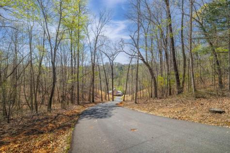 207 Arrow Way Mineral Bluff GA 30559