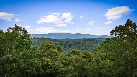 241 Wolf Creek Mountain Road Mineral Bluff GA 30559