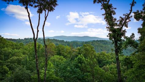241 Wolf Creek Mountain Road Mineral Bluff GA 30559