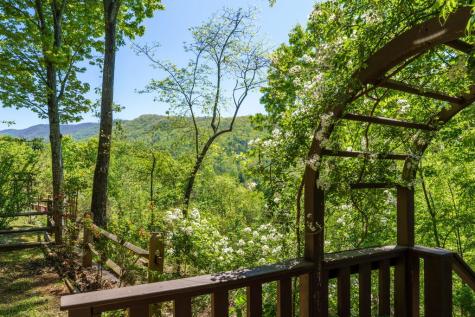 45 Black Bear Trace Murphy NC 28906