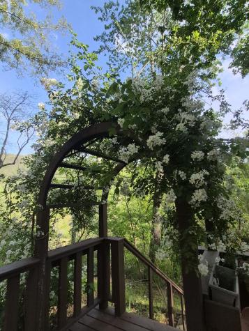 45 Black Bear Trace Murphy NC 28906