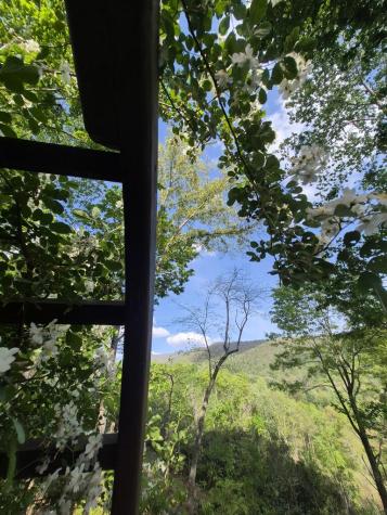 45 Black Bear Trace Murphy NC 28906