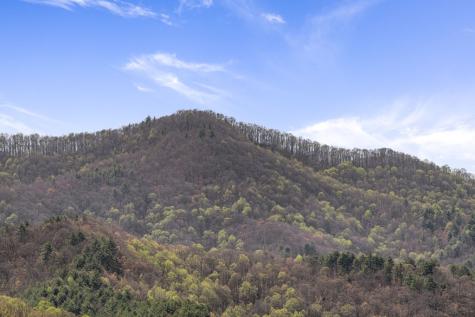 Lot 5 High Ridge Road W Epworth GA 30541