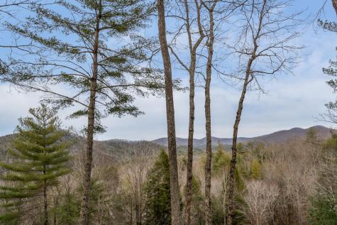 131 Toccoa Overlook Lane Blue Ridge GA 30513