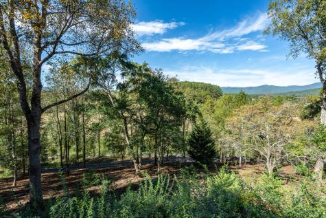 201 Primrose Lane Hayesville NC 28904