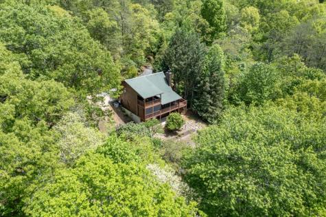 1204 Brookhaven Lane Blue Ridge GA 30513