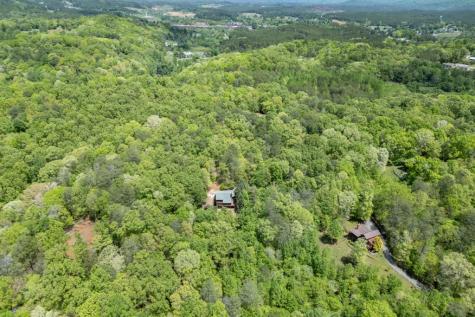 1204 Brookhaven Lane Blue Ridge GA 30513