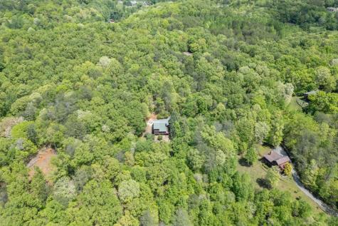 1204 Brookhaven Lane Blue Ridge GA 30513