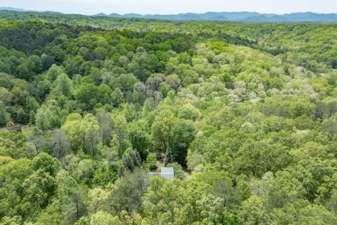 1204 Brookhaven Lane Blue Ridge GA 30513
