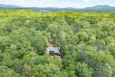 1204 Brookhaven Lane Blue Ridge GA 30513