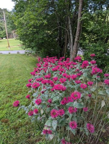 57 Little Brook Drive Hayesville NC 28904