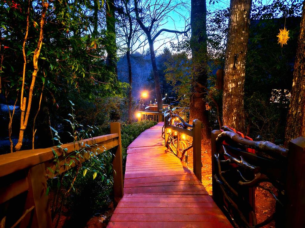 246 Adams Circle Mineral Bluff GA 30559