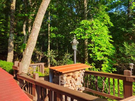 246 Adams Circle Mineral Bluff GA 30559
