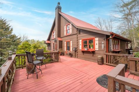 246 Adams Circle Mineral Bluff GA 30559