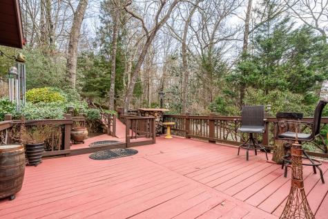 246 Adams Circle Mineral Bluff GA 30559