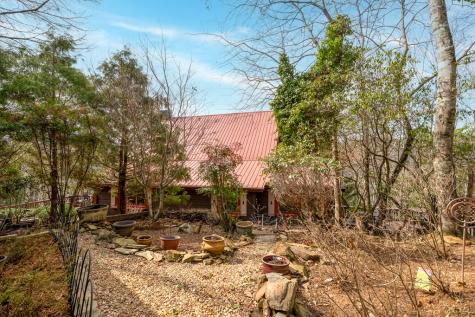 246 Adams Circle Mineral Bluff GA 30559