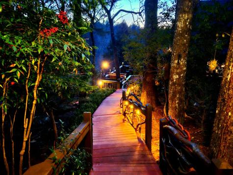 246 Adams Circle Mineral Bluff GA 30559