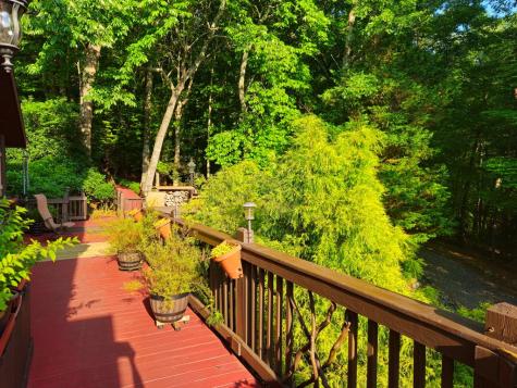 246 Adams Circle Mineral Bluff GA 30559