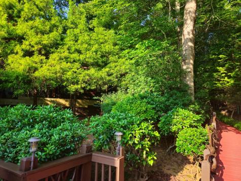 246 Adams Circle Mineral Bluff GA 30559