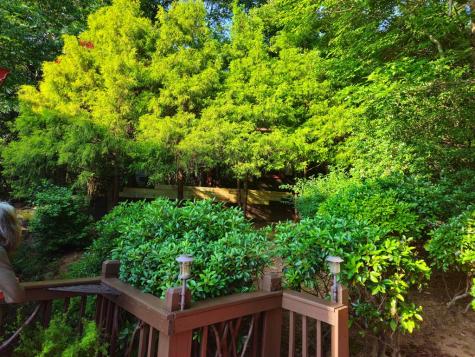 246 Adams Circle Mineral Bluff GA 30559