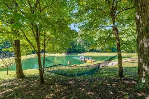 505 Old Salem Road Mineral Bluff GA 30559