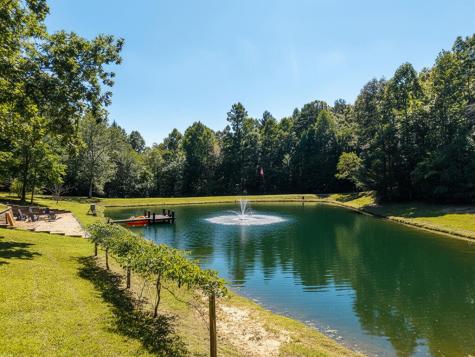 505 Old Salem Road Mineral Bluff GA 30559