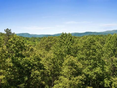 100 Blueberry Road Blue Ridge GA 30513