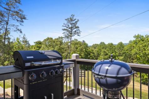 100 Blueberry Road Blue Ridge GA 30513
