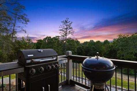 100 Blueberry Road Blue Ridge GA 30513