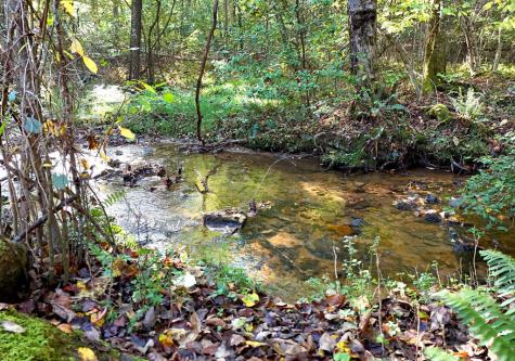 3245 Mulky Gap Road Blairsville GA 30512