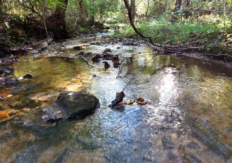 3245 Mulky Gap Road Blairsville GA 30512