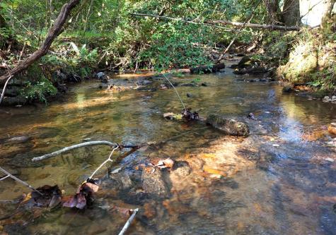 3245 Mulky Gap Road Blairsville GA 30512