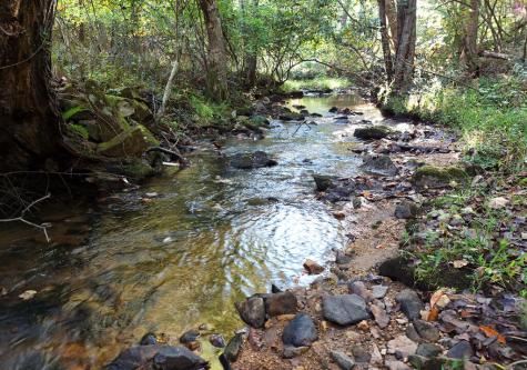 3245 Mulky Gap Road Blairsville GA 30512