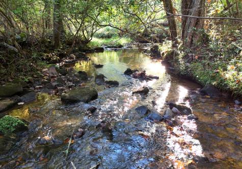 3245 Mulky Gap Road Blairsville GA 30512